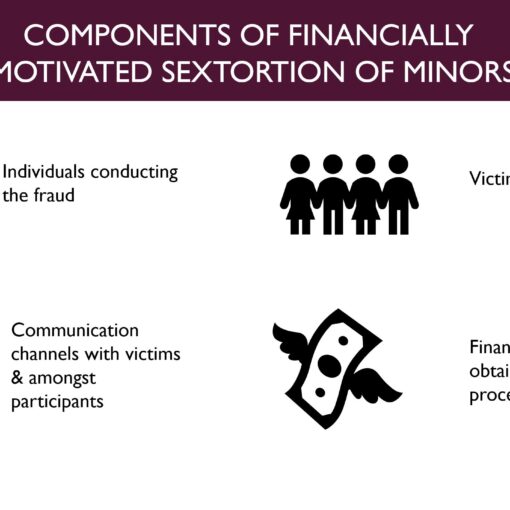 Components of Financially Motivated Sextortion of Minors