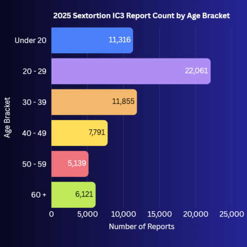 Financial Sextortion Report County by Age Bracket